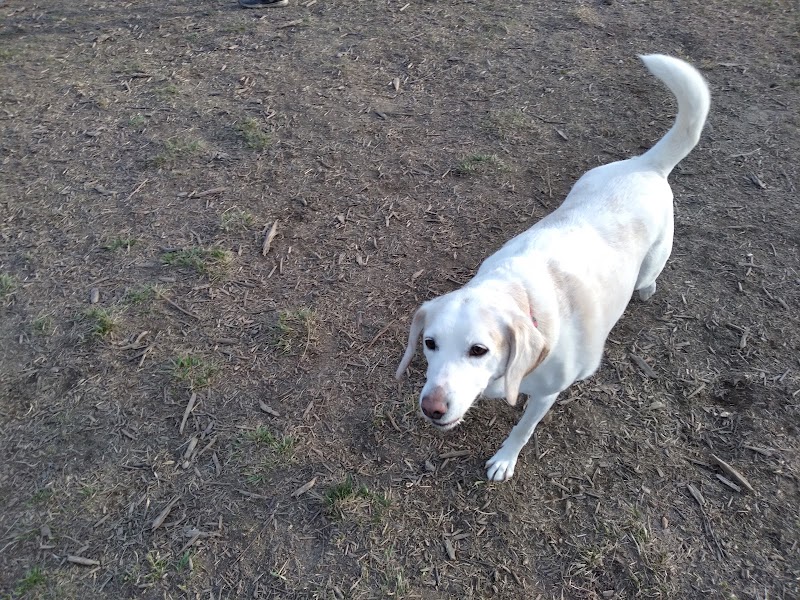 Spotsy Dog Park Inc. - Spotsylvania Courthouse, VA