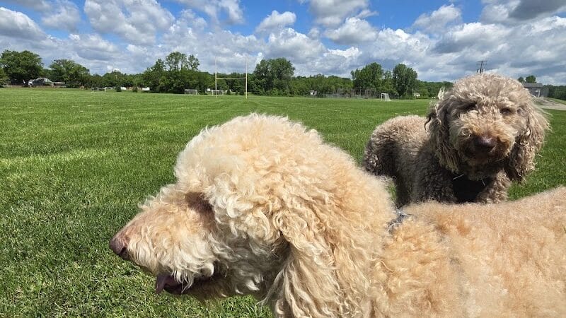 Sackett-Wright Park - Spring Valley, OH