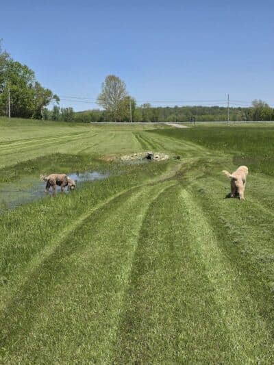 Walton Park - Spring Valley, OH