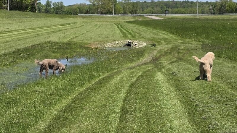 Walton Park - Spring Valley, OH