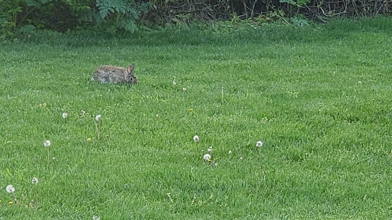 Gardner Park - Springboro, OH