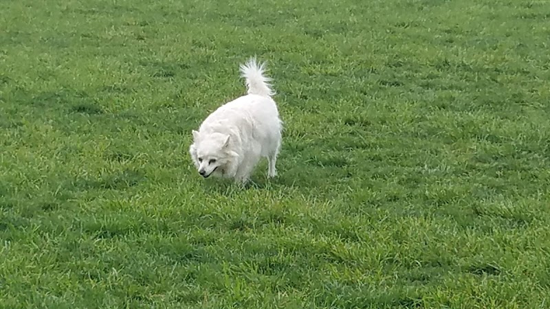 Hazel Woods Park - Springboro, OH