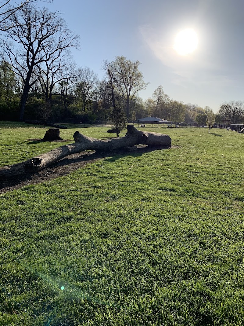 Central Bark Dog Park - Springfield, OH