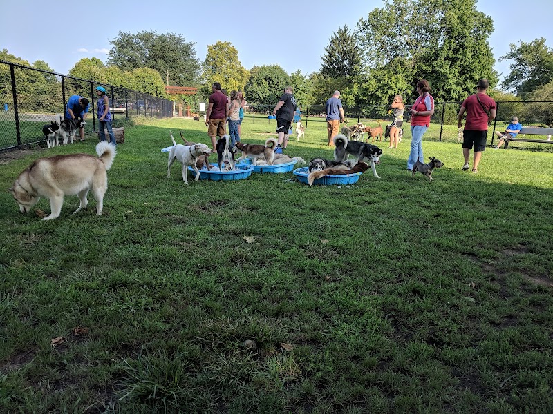 Central Bark Dog Park - Springfield, OH
