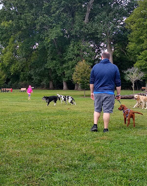 Central Bark Dog Park