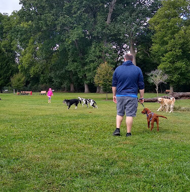 Central Bark Dog Park