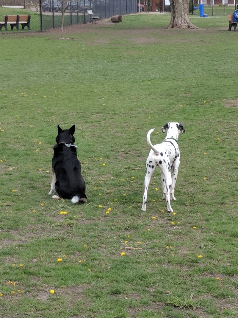Central Bark Dog Park - Springfield, OH