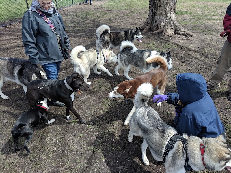 Central Bark Dog Park - Springfield, OH