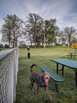 Dog Park at Love's Travel Stops