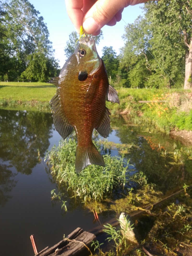 Wiggley Field Dog Park - Springfield, OH