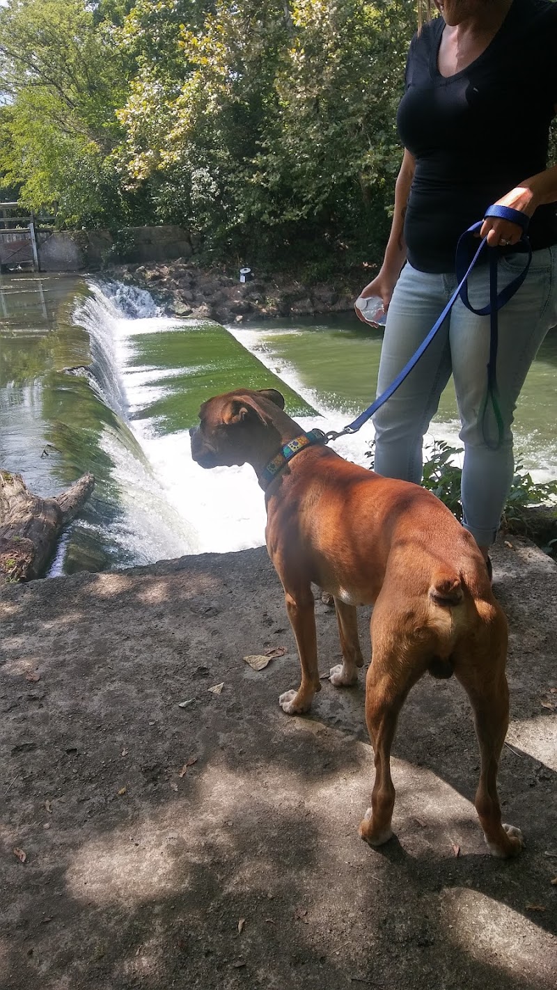 Wiggley Field Dog Park - Springfield, OH