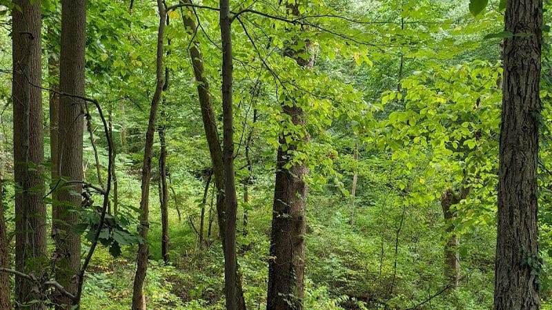 Radnor Trail - St Davids, PA