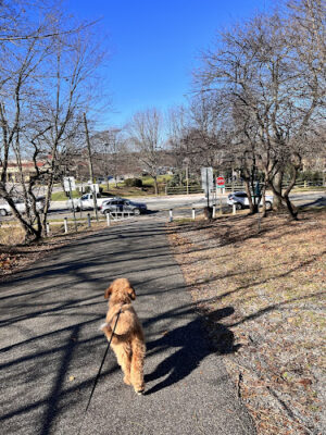 Radnor Trail