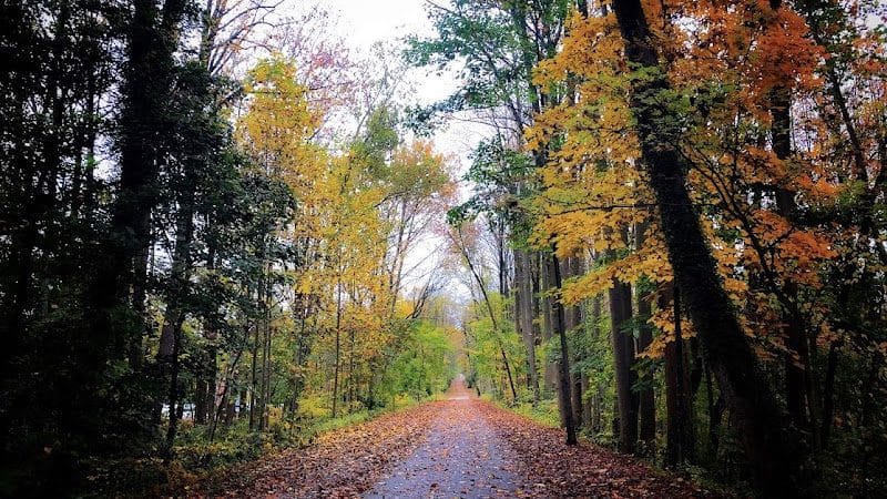 Radnor Trail - St Davids, PA