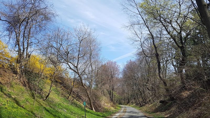 Radnor Trail - St Davids, PA