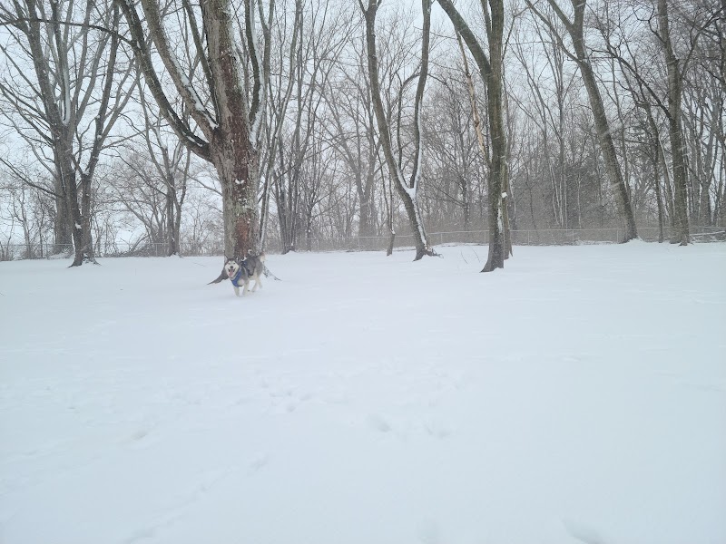 Dog park - St Marys, OH