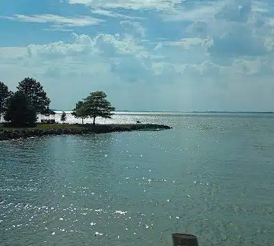 Dog park - St Marys, OH