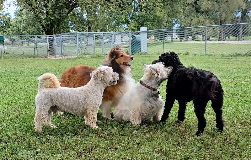 Dog park - St Marys, OH