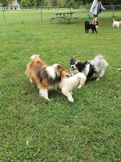Dog park - St Marys, OH