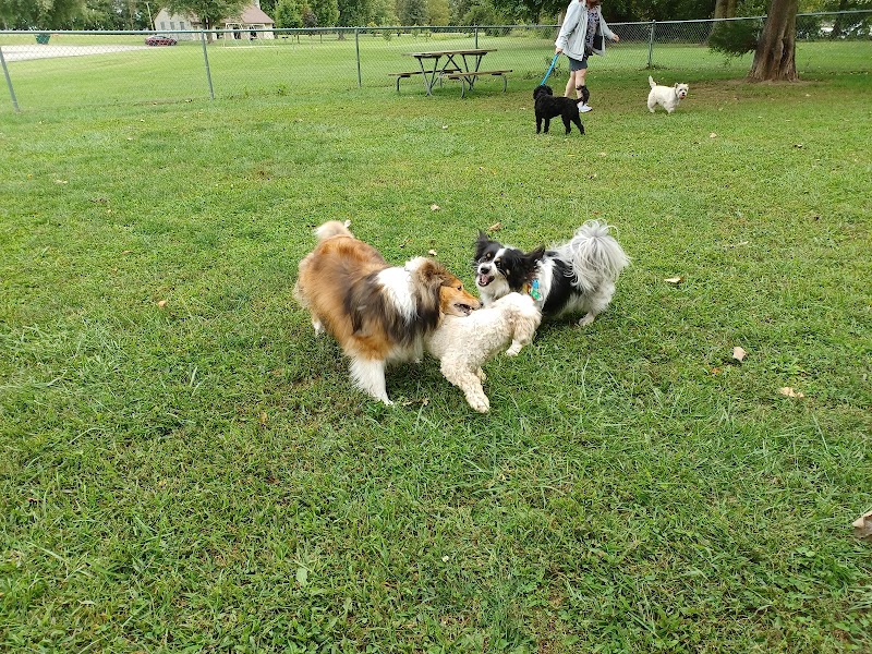 Dog park - St Marys, OH