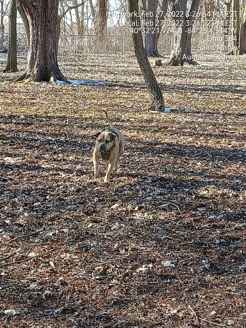 Dog park - St Marys, OH