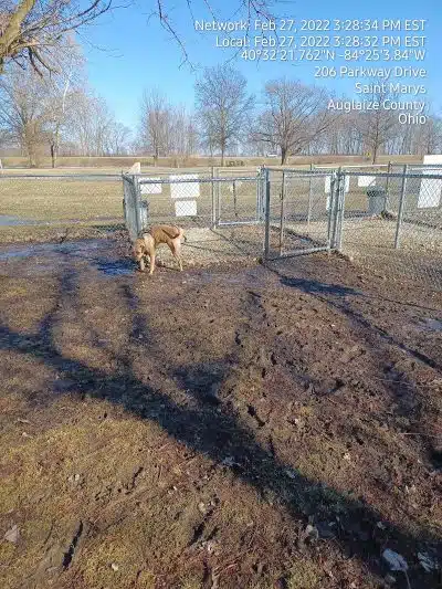 Dog park - St Marys, OH