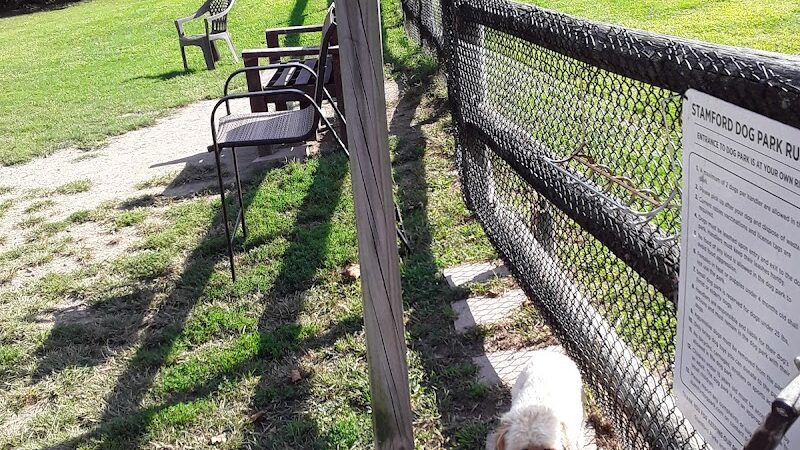 Stamford Dog Park - Stamford, CT