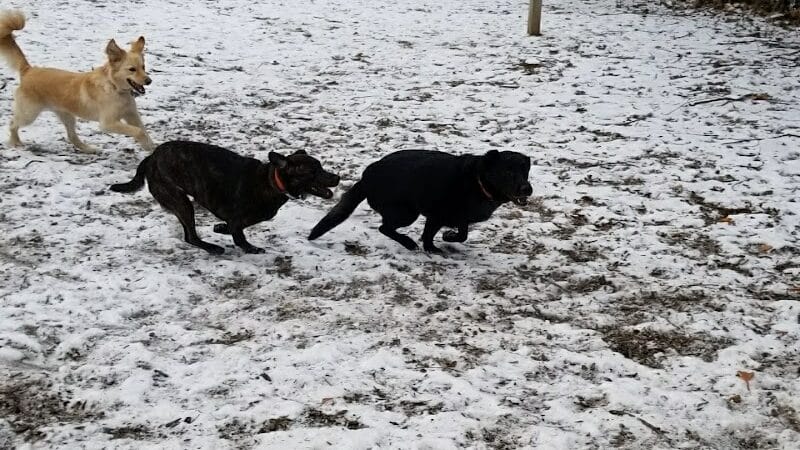 Stamford Dog Park - Stamford, CT