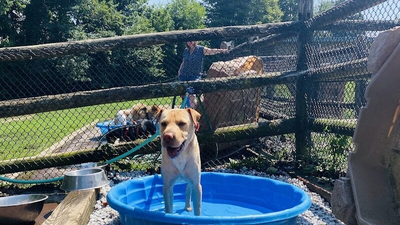 Stamford Dog Park - Stamford, CT