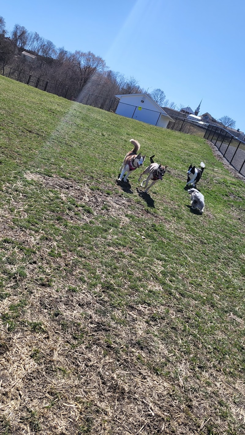 Wintersville Dog Park - Steubenville, OH