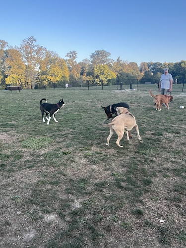 Wintersville Dog Park
