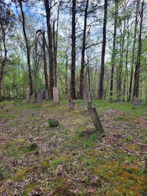 Rock Run Preserve