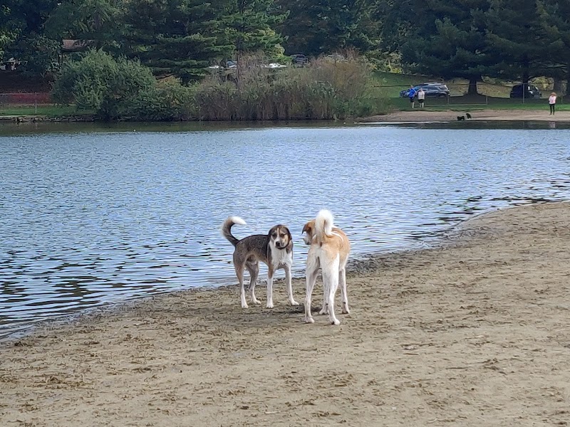 Bow Wow Beach - Stow, OH