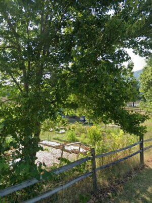 Strasburg Dog Park