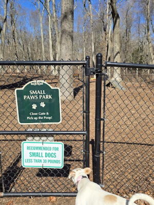 Jared's Dog Park
