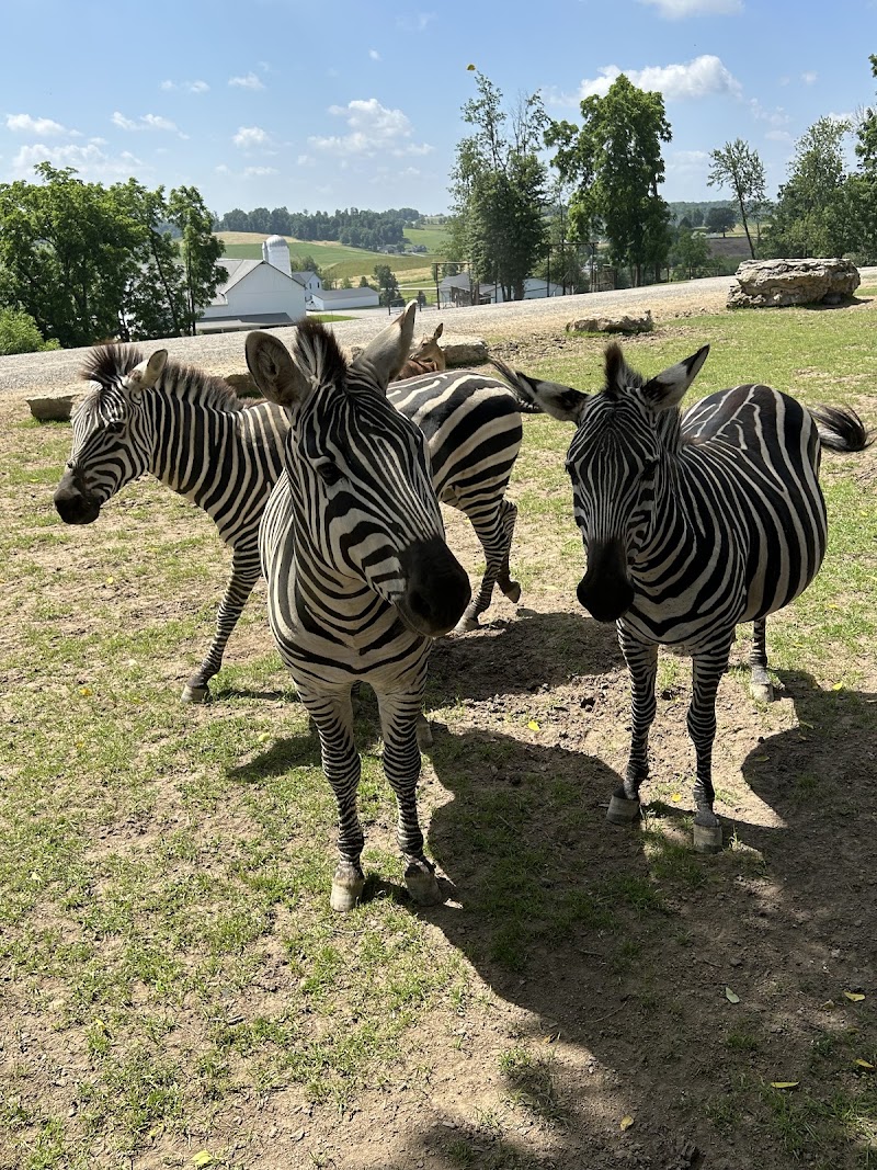 The Farm At Walnut Creek - Sugarcreek, OH