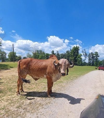 The Farm At Walnut Creek - Sugarcreek, OH