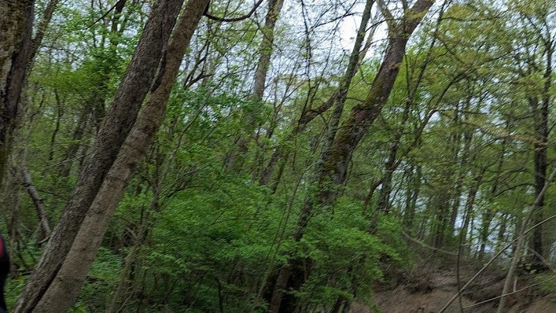 Bill Yeck Park - McGuffey Meadows - Sugarcreek Township, OH