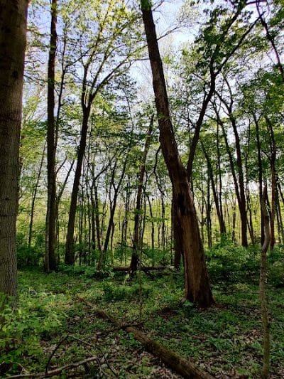 Sweet Arrow Reserve - Sugarcreek Township, OH