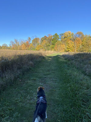 Sweet Arrow Reserve