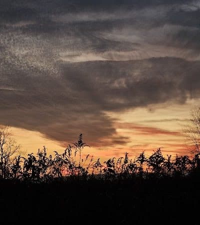 Sweet Arrow Reserve - Sugarcreek Township, OH
