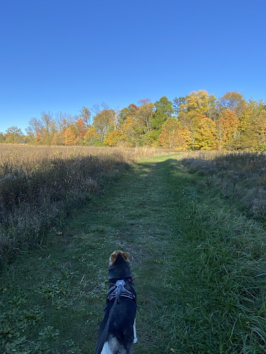 Sweet Arrow Reserve