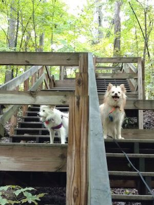 Hogback Ridge Park