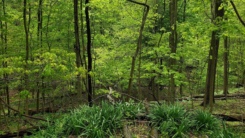 Hogback Ridge Park - Sunbury, OH
