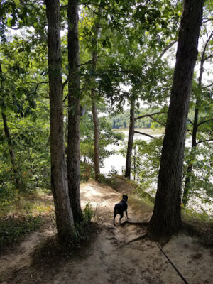 Hogback Trails