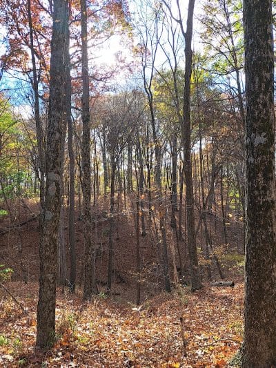 Hogback Trails Parking Area and Trailhead - Sunbury, OH
