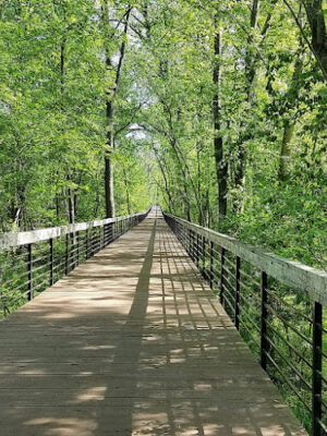 Ohio to Erie Trail