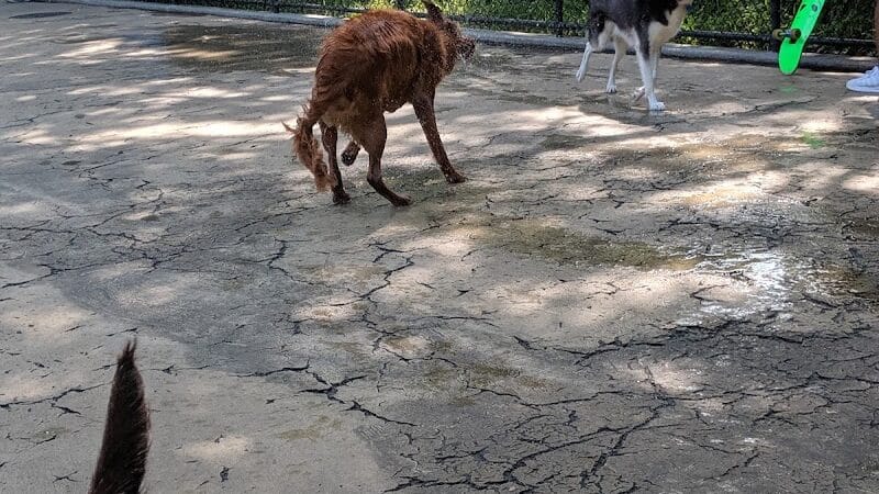 Torsney Dog Run - Sunnyside, NY