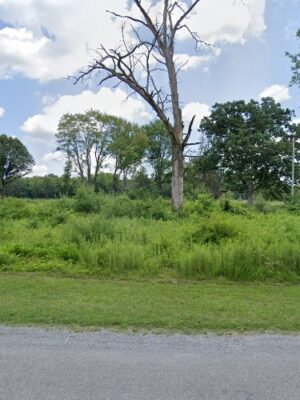 Metropark of the Toledo Area