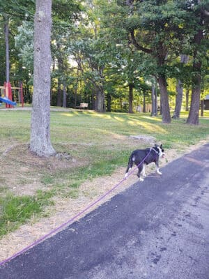 Howe Road Park - Tallmadge, OH